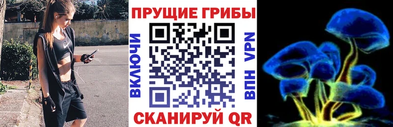 Купить где  Челябинск  Галлюциногенные грибы прущие грибы 